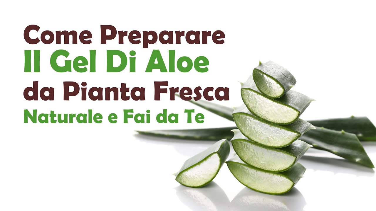 COME PREPARARE IL GEL DI ALOE DA PIANTA FRESCA