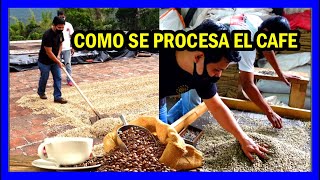 ¿Cómo se procesa el café? Recorrido por un beneficio para procesado completo