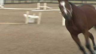 Frick10_0001.wmv