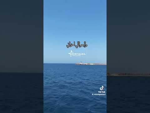 اسكندريه تانى زيزينيا