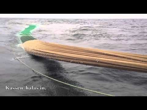 Video: Hur Man Saltar En Skarpsill
