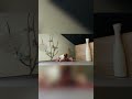 Скручивание позвоночника для здоровой осанки. Полное видео в описании. #yoga #йога #осанка #сколиоз