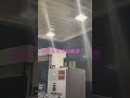 （閲覧注意⚠️）ざわめく虫たち