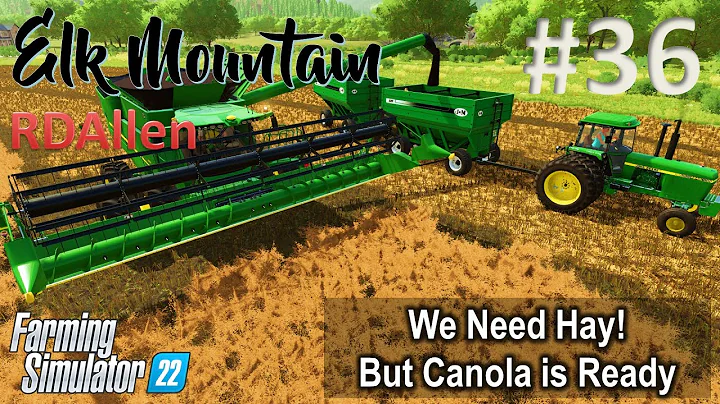 We NEED Hay! But Canola is Ready | E36 Elk Mountai...