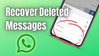 How to Recover Deleted messages from WhatsApp on iPhone without backup (2023) screenshot 3