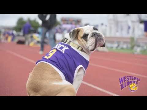 wiu-homecoming-2015:-rocky's-road-trip