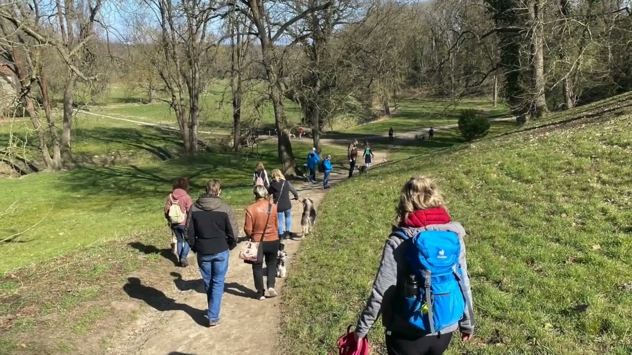 Hundewanderung - Krimitour