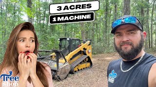 Catch Up Video! Clearing Land with CAT Skid Steer in Florida