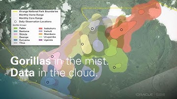 Protecting Gorillas in the Mist with Data in the Cloud