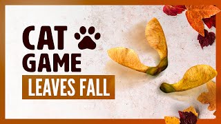 CAT GAMES : Maple seeds for cats to watch. Leaves fall and forest sounds screenshot 5