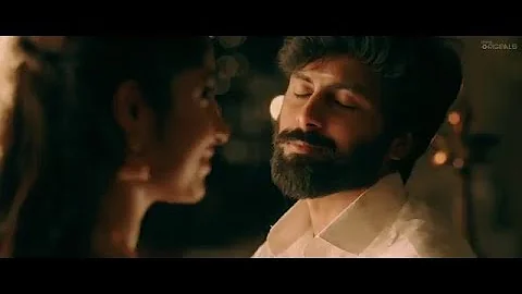 Video 11749261: tom cat funny