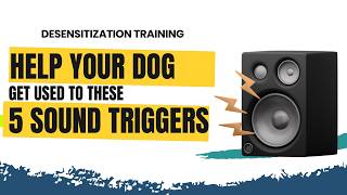 DOG SOUND TRIGGERS | DESENSITIZATION | SOUND TRAINING FOR DOGS | #2025DogTraining