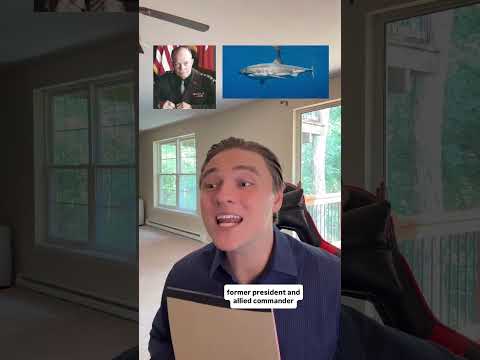 The Reincarnation Station! #reincarnation #funny #comedy #australian #painter #ryankelly #ypr