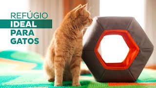 Toca Perfeita para os Gatos - Toca Mundi Gatton