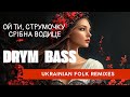 Ой ти струмочку срібна водице Ukrainian Folk Remixes DrymBass