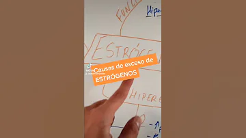 ¿Qué le ocurre a tu cuerpo cuando no tienes estrógenos?