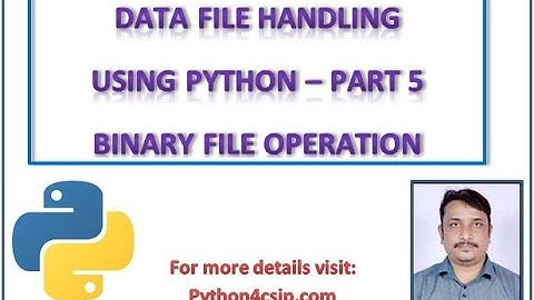 Binary File Handling in Python