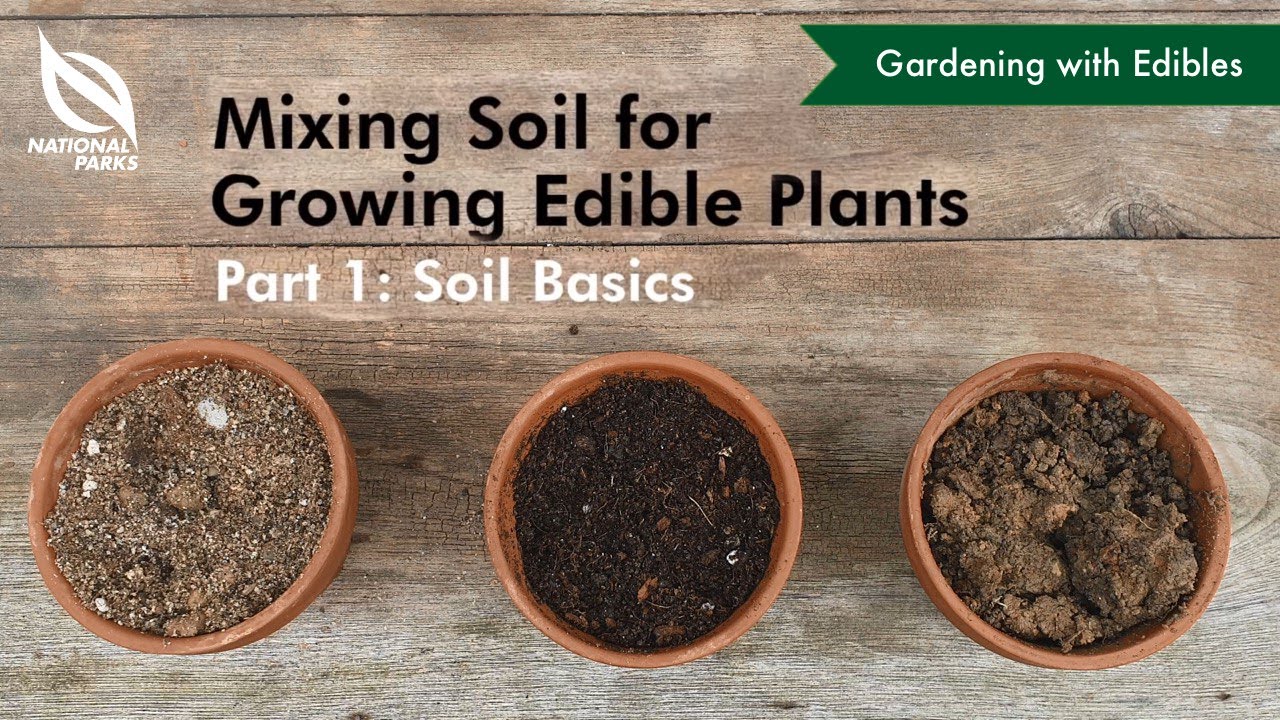 Mixing Soil For Growing Edible Plants Part 1 Soil Basics Youtube