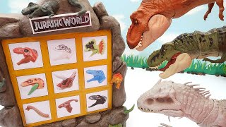 Dinosaur NEW SMASH BOX! Jurassic World Real Dinosaur With Dino Lego 쥬라기월드 공룡 레고 T-Rex 티라노