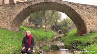 El puente: el camino del Zen es doble.