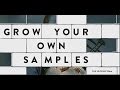 Grow Your Own Samples - How To Make A Sample Library