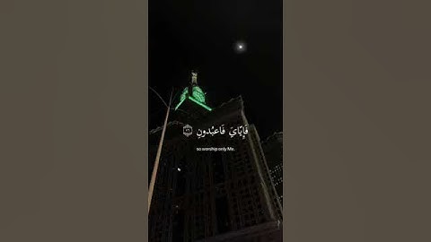 ﴿ يَا عبادِي الذِين آمنُوا إِن ارضِي وَاسِعَة ﴾ سوره العنكبوت، عبدالرحمن مسعد #ارح قلبك #قران كريم