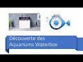 Dcouverte des aquariums waterbox chez aquarium nguyen  mr recif captif 340