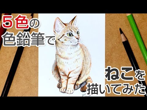 5色の色鉛筆で猫を描いてみた Byもじゃクッキー Youtube