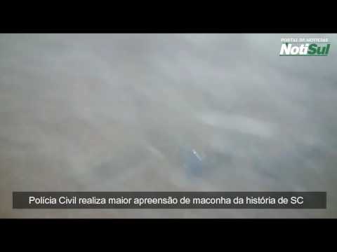 Polícia Civil realiza maior apreensão de maconha da história de SC
