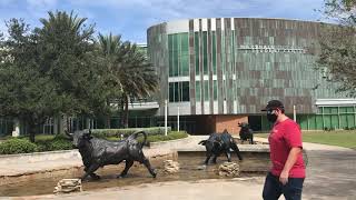 USF COVID Look Live