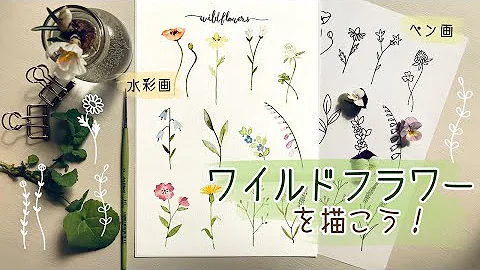もふもふ シマエナガの描き方 かわいい雪の妖精 ペンや水彩を使った冬の小鳥イラスト How To Paint A Long Tailed Tit Mp3