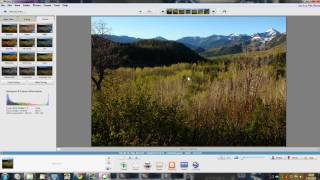 Quick look at Picasa - Organize and edit pictures and video