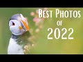 My Favourite 21 Wildlife Photos of 2022 | OM System | Relaxing Music &amp; Nature