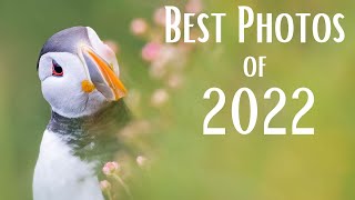 My Favourite 21 Wildlife Photos of 2022 | OM System | Relaxing Music &amp; Nature