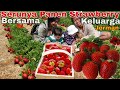 PANEN STRAWBERRY SEPUASNYA BERSAMA KELUARGA BAHAGIA DI JERMAN