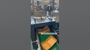 Burger box forming machine fast food hamburger container making machine for lunch box #machine