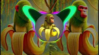 SHIMPANZINNI BANANINNI FUNK