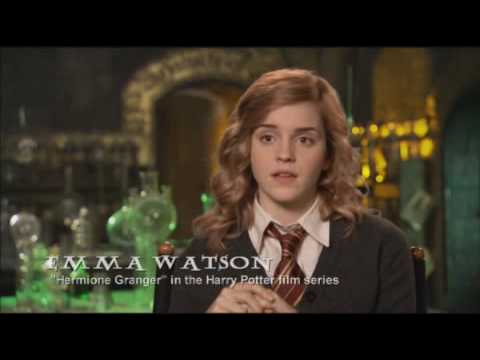 Harry Potter and the Forbidden Journey (Video 2010) - IMDb