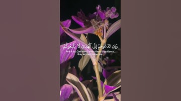 أَيُشْرِكُونَ مَا لَا يَخْلُقُ شَيْئًا وَهُمْ يُخْلَقُونَ🤎آيات عطرة من سورة الأعراف #قرآن #المصحف