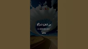 #القرآن الكريم: اجمل واروع تلاوة للشيخ ياسر الدوسري......[سورة النور]