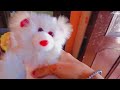 Diwali ki safayi part 1