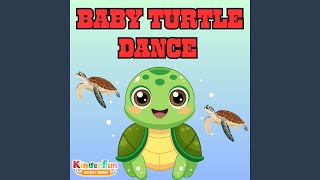 Baby Turtle Dance