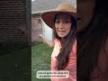 Texas backyard gardening