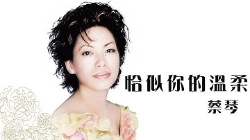 蔡琴 Tsai Chin -《恰似你的溫柔》official Lyric Video
