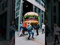 Cat and Colossal Burger Chase | Meows, Mayhem &amp; Melted Cheese! 🐱🍔💨 #pig #dancesteps #viralvideo