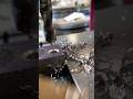 operación abellanado… #shorts #shortvideo #shortfeed  #troqueles      #automobile