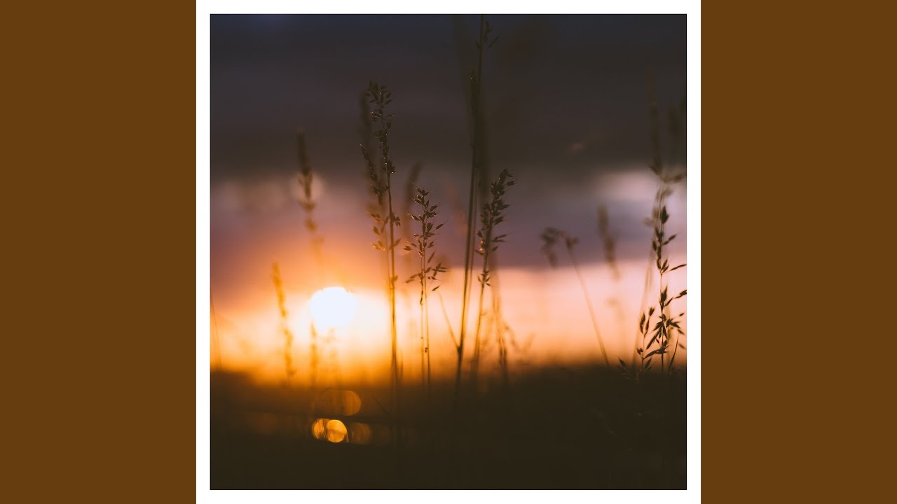 在 YouTube 上观看 Evening Light