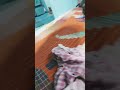 LOOP