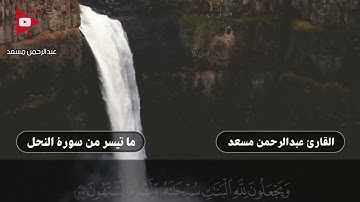 #سورة النحل #القارئ #عبدالرحمن_مسعد #قرآن #تلاوة_خاشعة #راحة_نفسية #ارح_قلبك #ارح_سمعك #اجر_لي_ولك