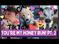 You're My Honey Bun Song - Animal TikTok Compilation pt. 2